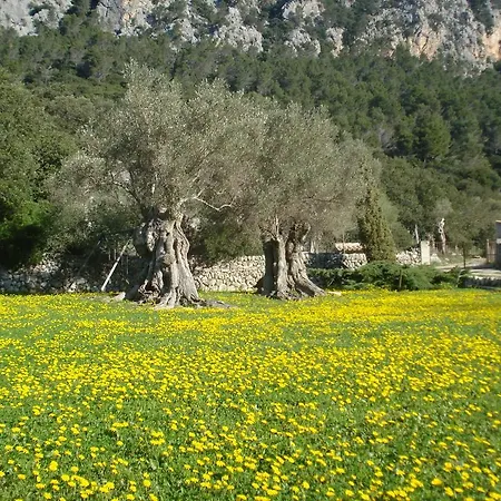 S'Era Vella Bunyola